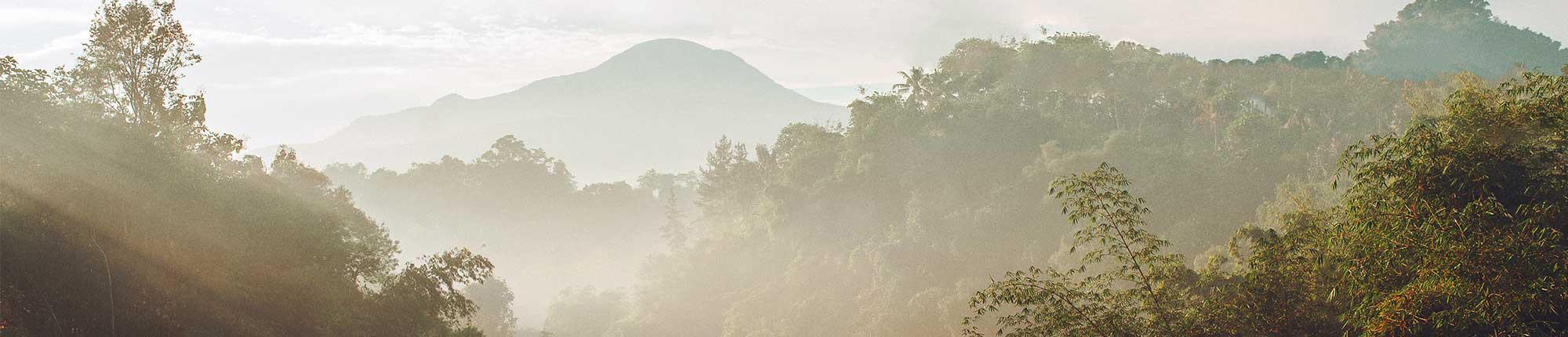 雾笼罩着河流和树木，背景是山